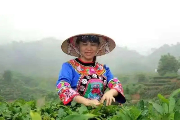 【梧州工匠】劉錦芳：鉆研和創(chuàng)新，帶領(lǐng)鄉(xiāng)親發(fā)家致富