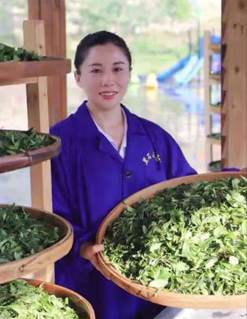【梧州工匠】石濡菲：擇一茶，修一技，終一生