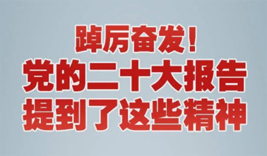 【黨的二十大】踔厲奮發(fā)！黨的二十大報告提到了這些精神