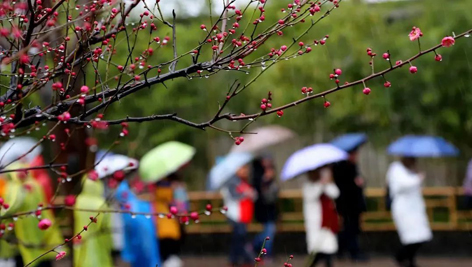 今日雨水！別忘了咱的老講究！