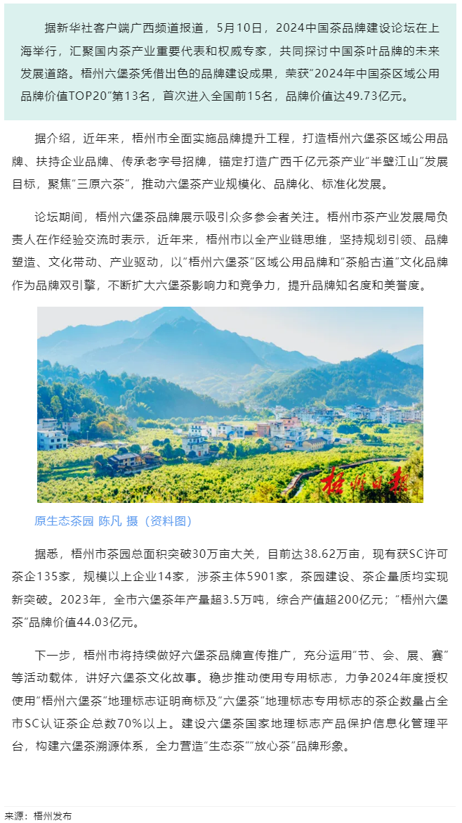 排名全國(guó)第13名！“梧州六堡茶”品牌價(jià)值實(shí)現(xiàn)新突破.png