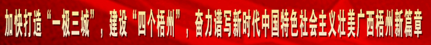 加快打造“一級(jí)三城市”，建設(shè)“四個(gè)梧州”，奮力譜寫(xiě)新時(shí)代中國(guó)特色社會(huì)主義壯美廣西梧州新篇章